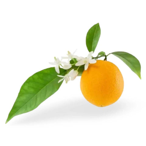 100% Organic Neroli Essential Oil - Essential Oil - The Local Boom Gift Shop