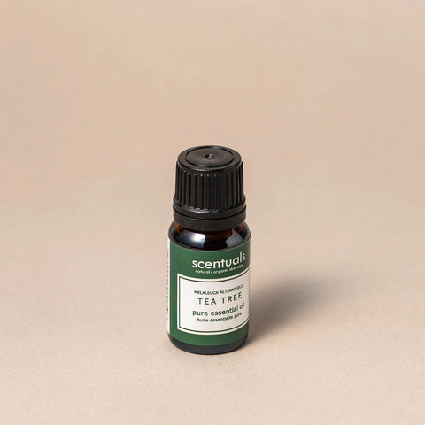 100% Pure Tea Tree Essential Oil - Essential Oil - Scentuals