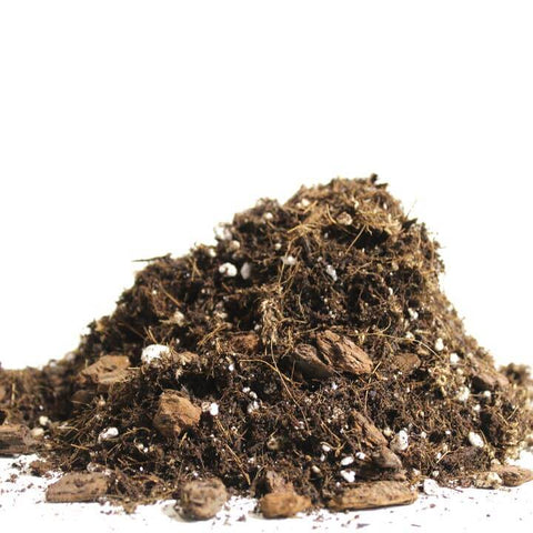 Aroid Blend - Potting Soil For Indoor Plants - Soil - Maya Growing Mediums