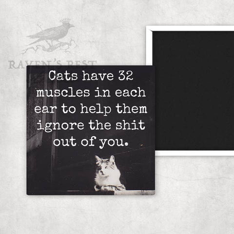 Cats Have 32 Muscles in Each Ear Magnet - Magnet - Raven's Rest Studio
