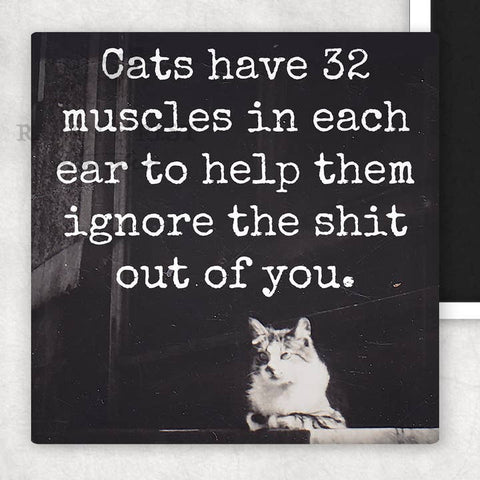 Cats Have 32 Muscles in Each Ear Magnet - Magnet - Raven's Rest Studio