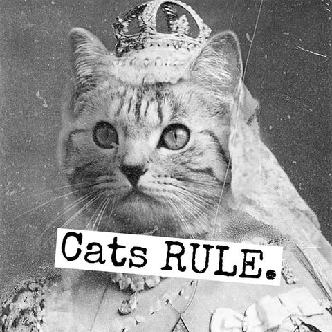 Cats Rule Magnet - Magnet - Raven's Rest Studio