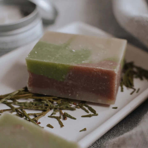 Cedar Balsam Bar Soap - Bar Soap - Mother Earth Essentials