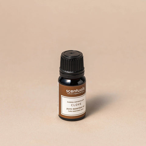 Clove Essential Oil - Essential Oil - Scentuals