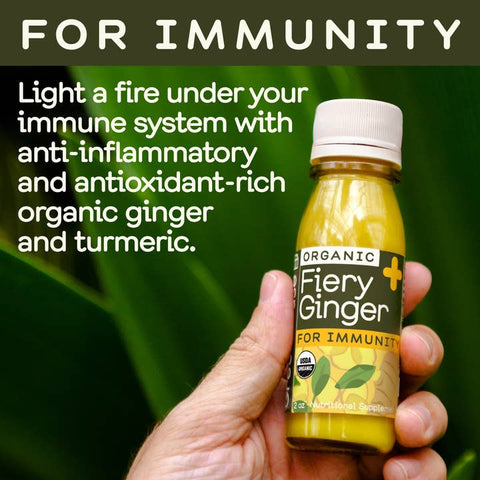 Fiery Ginger Organic Wellness Shot - Drink - Greenhouse