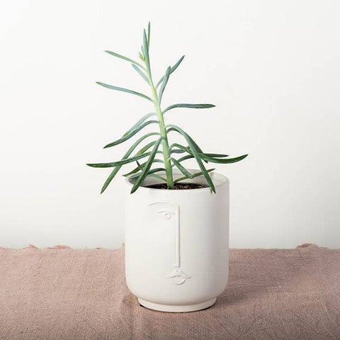 Flower Pot with A Face - Planter - The Local Boom Gift Shop