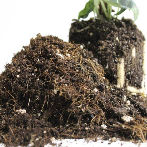 General Blend - Potting Soil For Indoor Plants - Soil - Maya Growing Mediums