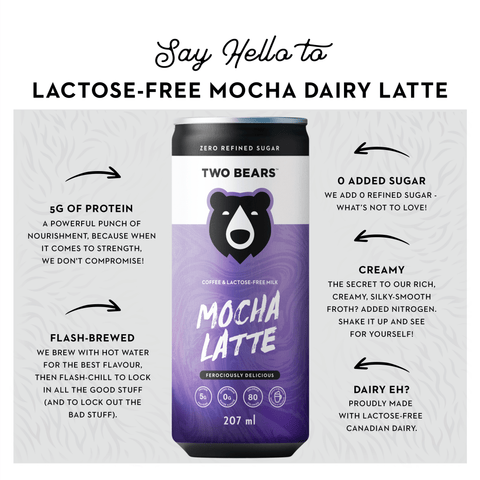 Lactose-Free Dairy Mocha Latte - Coffee - Two Bears