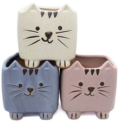 Little Cats Planter - Planter - The Local Boom Gift Shop