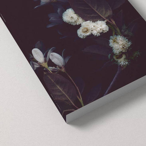 Notebook / Nocturne - Notebook - Raoul & Simone