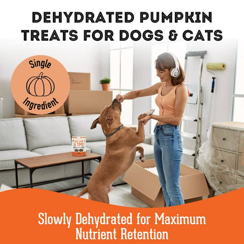 Once Upon a Time Dehydrated Pumpkin Treat - Dog Food - The Granville Island Pet Treatery