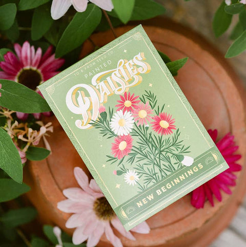 Painted Daisies (New Beginnings) - Floriography Seed Packet - Soil - To & From Gift Co.