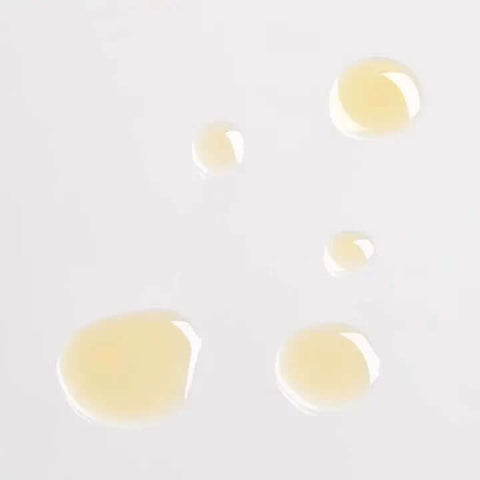 Prickly Pear + Schisandra Youth Concentrate - Facial Oil - Om Organics