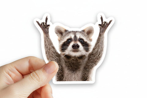 Raccoon Rock Sign Magnet - Magnet - Local Boom Gift Shop
