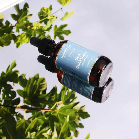 Sea Buckthorn Beauty Oil - Serum - Scentuals
