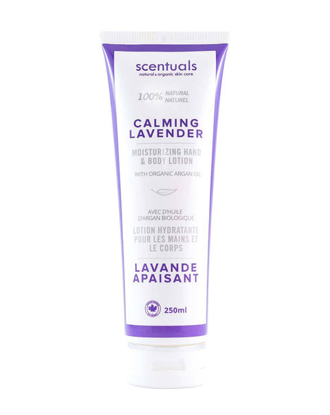 Lavender Hand & Body Lotion - Body Lotion - Scentuals